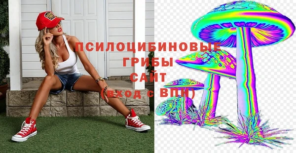 mdpv Осинники