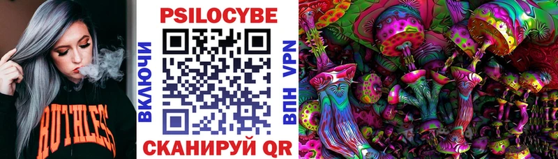 Псилоцибиновые грибы Cubensis  Купить закладки  Духовщина 